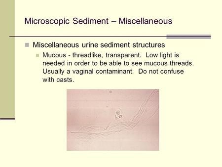 Microscopic Sediment – Miscellaneous Miscellaneous urine sediment structures Mucous - threadlike, transparent. Low light is needed in order to be able.