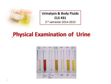 Physical Examination of Urine