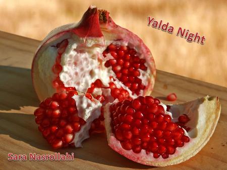 Yalda Night Sara Nasrollahi.