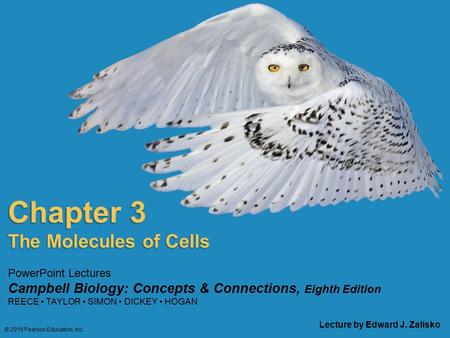 PowerPoint Lectures Campbell Biology: Concepts & Connections, Eighth Edition REECE TAYLOR SIMON DICKEY HOGAN Chapter 3 Lecture by Edward J. Zalisko The.