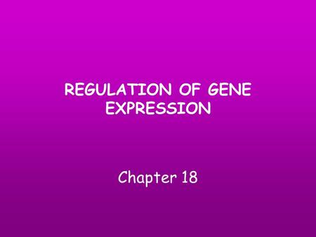 REGULATION OF GENE EXPRESSION Chapter 18. Gene expression A gene that is expressed is “turned on”. It is actively making a product (protein or RNA). Gene.