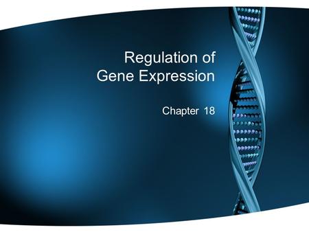 Regulation of Gene Expression